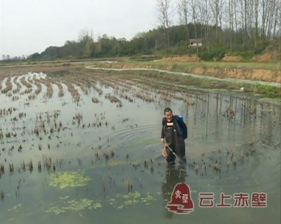 《扶贫一线的故事》张少华：因病致贫志不贫 养殖龙虾拔穷根