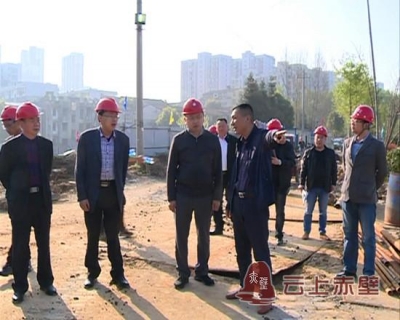 市领导检查指导防汛备汛工作