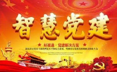 智慧党建平台上的蒲纺故事