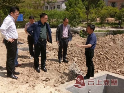 市领导调研督办陆水湖环境综合整治工作