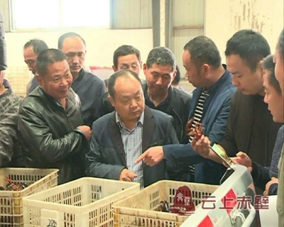 神山镇：考察学习龙虾产业 建设万亩龙虾产业基地