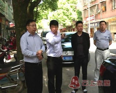 赤壁市领导现场督办农村垃圾治理工作