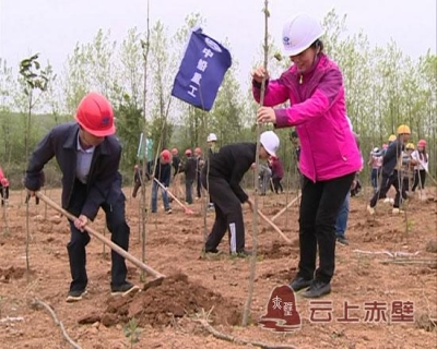 中船重工为中伙铺镇增绿添彩