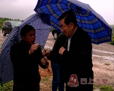 陈宗懋调研赤壁市茶产业发展工作