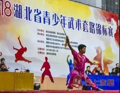 赤壁市武术健儿斩获“三金四银”