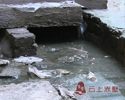 陆水湾十八栋：管道堵塞粪水溢出何时休