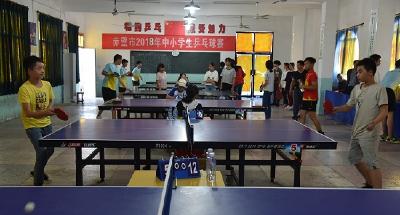 赤壁市2018年中小学生乒乓球赛落下帷幕