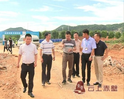 刘子恒调研督导扫黑除恶专项斗争工作