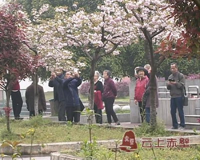 热心快肠的“王婆婆”