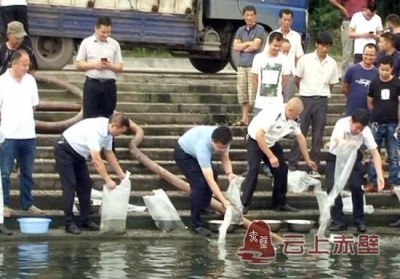 坚持绿色发展 养护渔业资源 赤壁市开展2018年渔业资源增殖放流活动