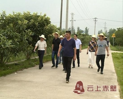 省移民局调研柳山湖镇美丽乡村建设