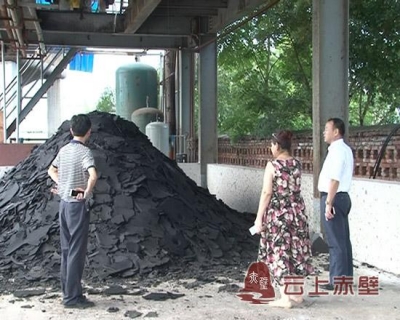 市领导深入蒲纺工业园区督查环保整改落实情况