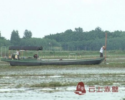 清理水葫芦 保护水生态 赤壁在行动