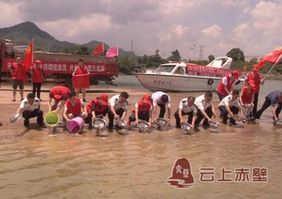 赤壁开展增殖放流活动 投放鱼苗3000万尾