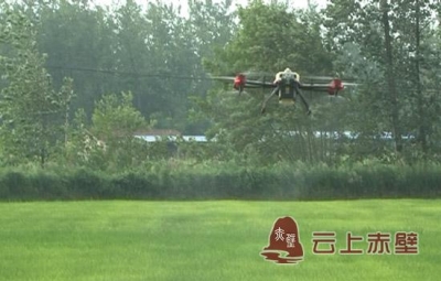 市农业局开展农田病虫害防治