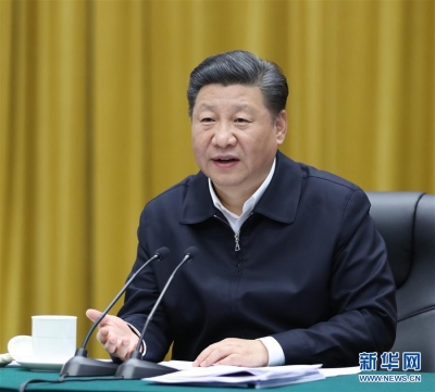 在深入推动长江经济带发展座谈会上的讲话
