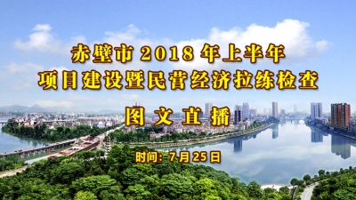 赤壁市2018年上半年项目建设暨民营经济拉练检查