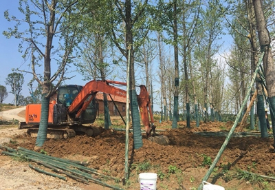 车埠小罗湖三国梦幻园田园综合体项目火热推进