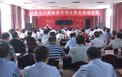 强业务 练精兵 赤壁市开展扫黑除恶业务培训