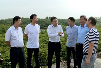 刘子恒督导调研车埠镇小罗湖田园综合体建设