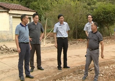 叶文华带领党代表调研芙蓉村人居环境整治工作