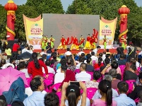 首届农民丰收节赤壁神山掠影