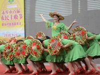 首届农民丰收节赤壁神山掠影