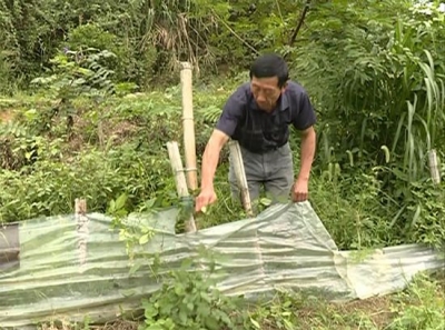 立下脱贫志 养殖摘“穷帽” 看赤壁扶贫一线的故事！