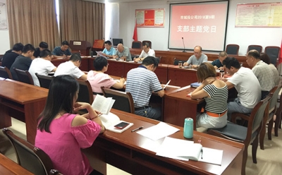 市城投公司专题学习《中国共产党纪律处分条例》