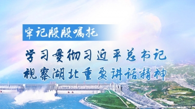 把握长江经济带发展机遇 全面推动赤壁高质量发展