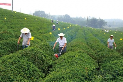 文化为魂助赤壁旅游“再借东风”