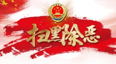 为新时代高质量发展保驾护航——湖北推进扫黑除恶专项斗争述评 