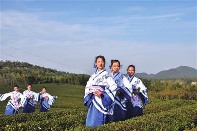 世界旅游文化小姐为赤壁茶文化站台