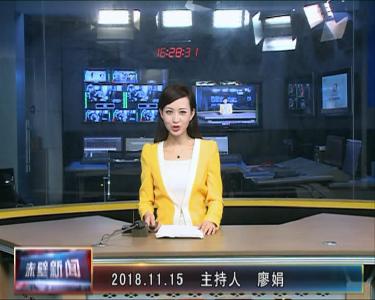 11月15日电视新闻