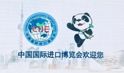 进博会今日揭幕，湖北30个交易分团齐聚沪上 