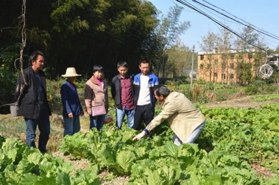 陆水湖办事处：扶贫技术送下乡