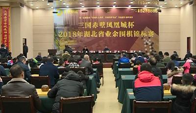 规模最大 档次最高 湖北省业余围棋赛在赤举行