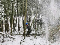 风雪中，他们的背影温暖了谁？