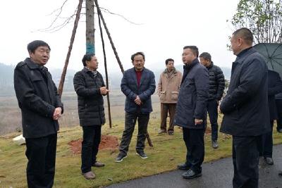 咸宁市五届人大代表组团来赤视察调研