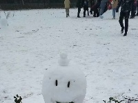 花式堆雪人，呆萌造型萌化你的冬日心