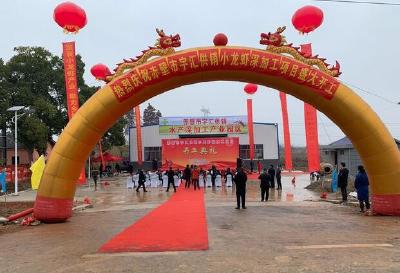 总面积20000亩 日产小龙虾20吨！赤壁首家小龙虾深加工项目开工