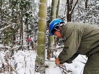 风雪中，他们的背影温暖了谁？