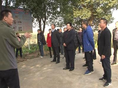 咸宁市生态循环农业现场推进暨农村能源安全工作会在赤召开