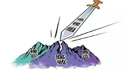 湖北巡察利剑直插基层显威力 去年1059人被给予党纪政务处分