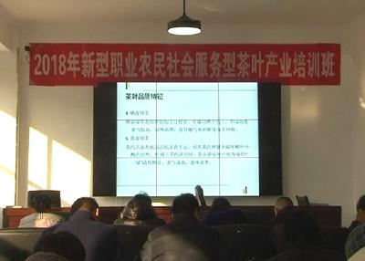 全市新型职业农民社会服务型茶叶产业培训班结业