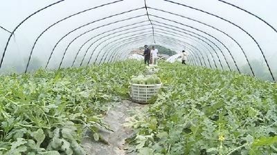 赤壁镇乡村振兴初见雏形