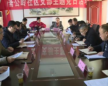 市纪委监委：领导联社区 党员进网格 干部包街道