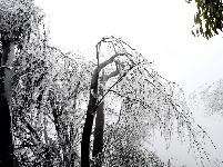 赤壁葛仙山景美 雨凇树挂天色诡