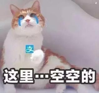 支付宝放大招了！有信用卡的快看过来…