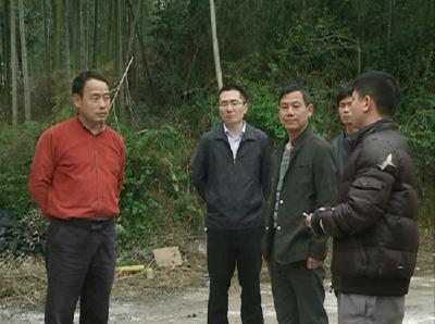 市领导调研督办环保突出问题整改工作